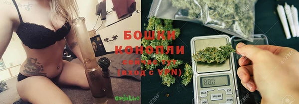 крисы Армянск
