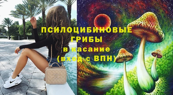 крисы Армянск