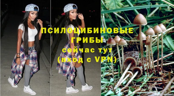 каннабис Аркадак