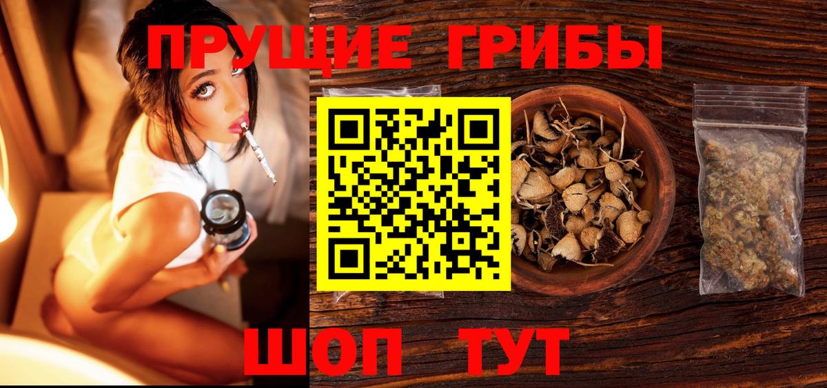 Галлюциногенные грибы GOLDEN TEACHER  Галлюциногенные грибы мухоморы  Вход с VPN  Тихвин 